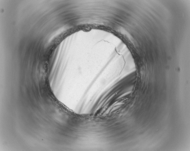 X0000088131064200705291327