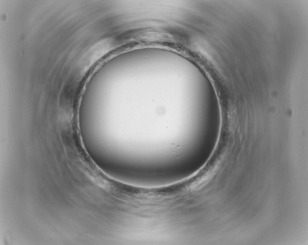 X0000088131065200705291327