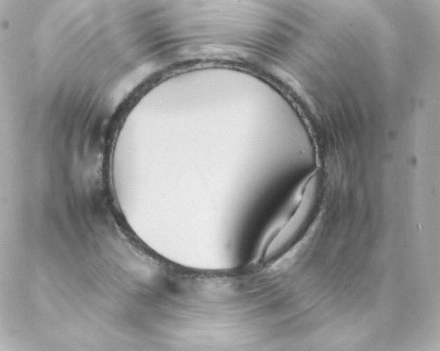 X0000088131066200705291327