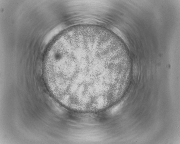 X0000088131067200705291327