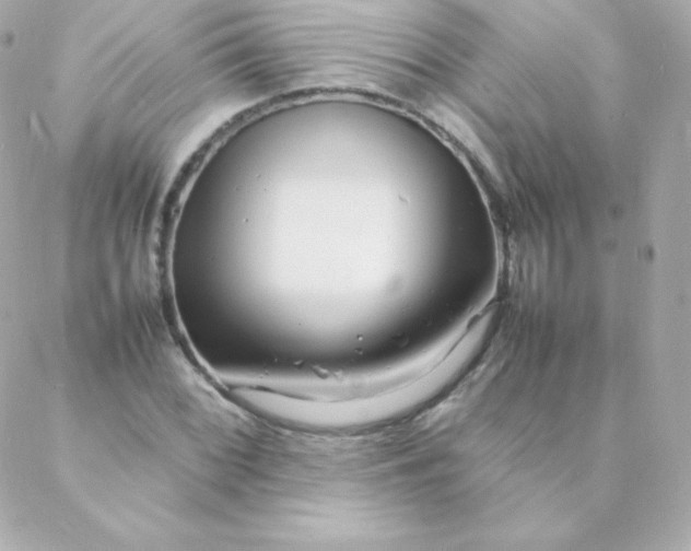 X0000088131068200705291327