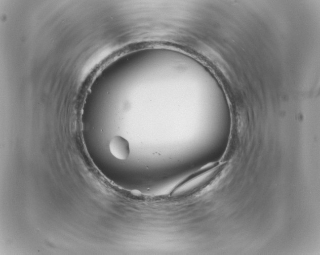 X0000088131069200705291327