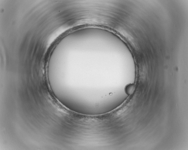 X0000088131070200705291327