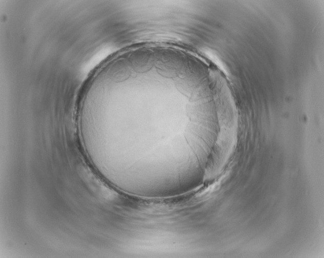 X0000088131071200705291327