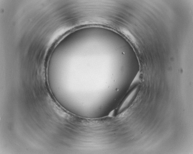 X0000088131072200705291327