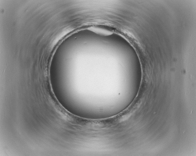 X0000088131073200705291327