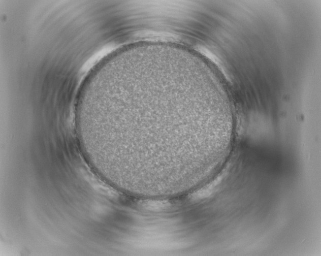 X0000088131074200705291327