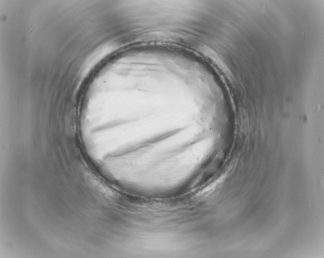 X0000088131075200705291327