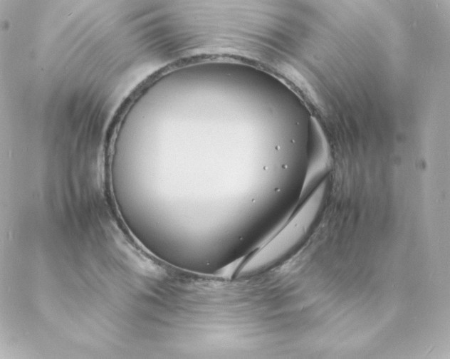 X0000088131076200705291327