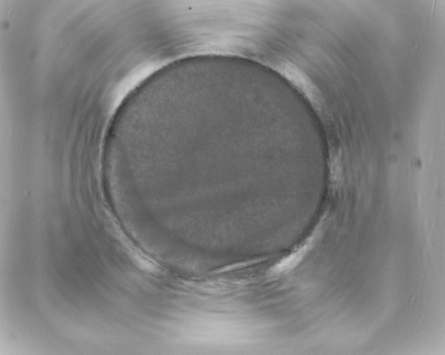 X0000088131077200705291327