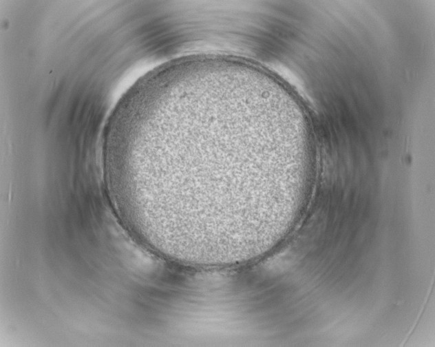 X0000088131078200705291327