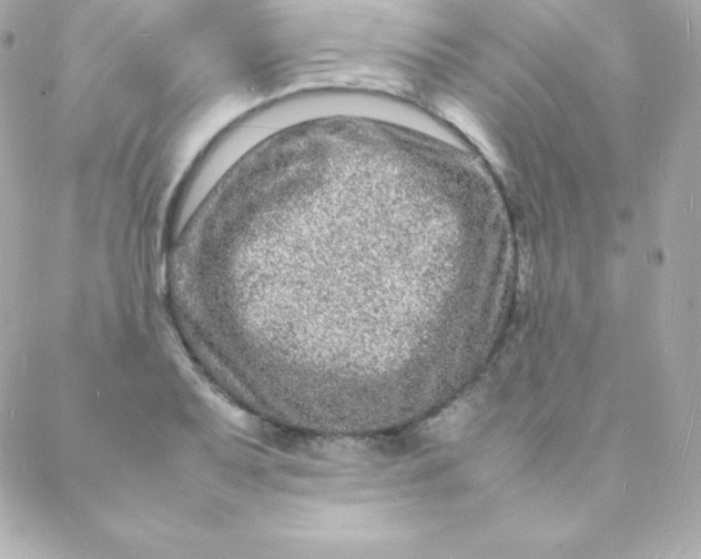 X0000088131079200705291327