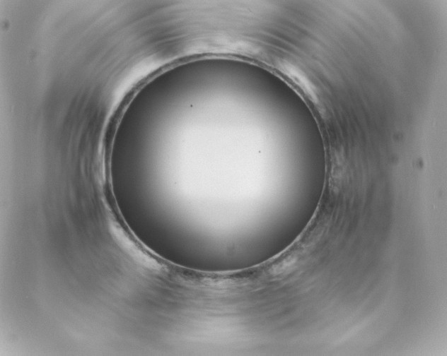 X0000088131080200705291327