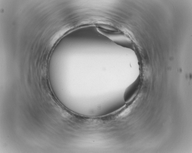 X0000088131081200705291327