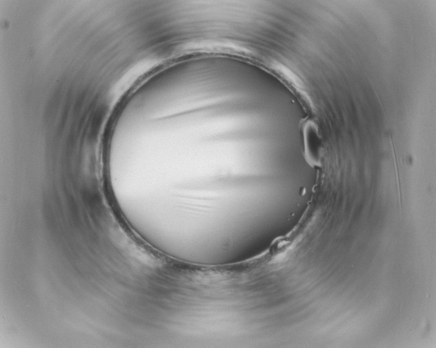 X0000088131082200705291327