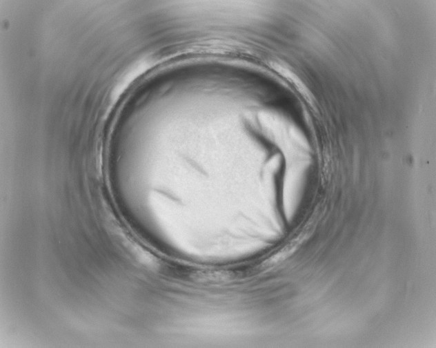 X0000088131083200705291327