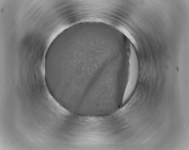 X0000088131084200705291327