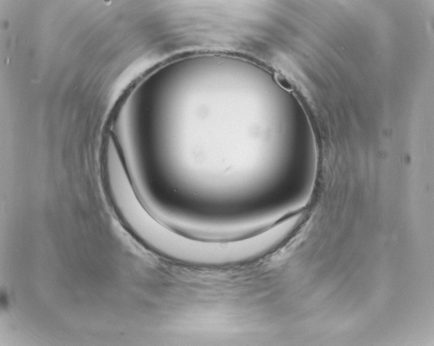 X0000088131085200705291327