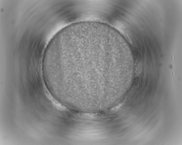 X0000088131086200705291327