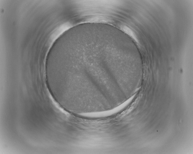 X0000088131087200705291327