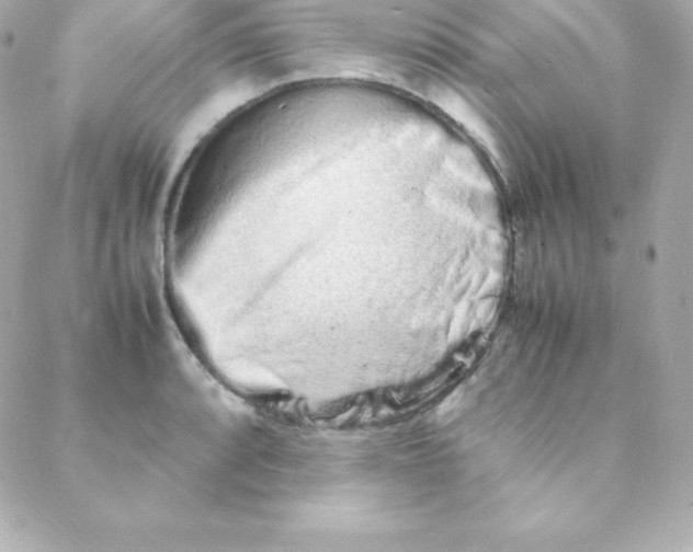 X0000088131088200705291327