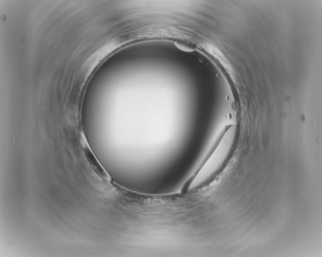 X0000088131089200705291327