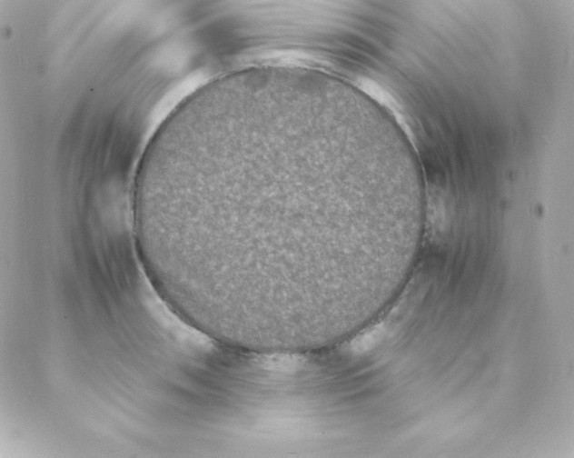 X0000088131090200705291327