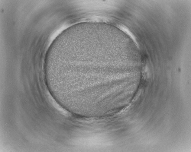 X0000088131091200705291327