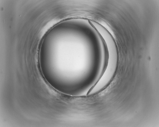 X0000088131093200705291327