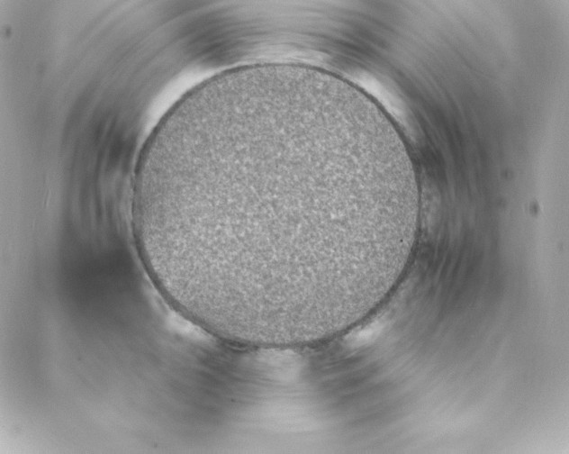 X0000088131094200705291327