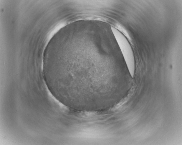 X0000088131095200705291327