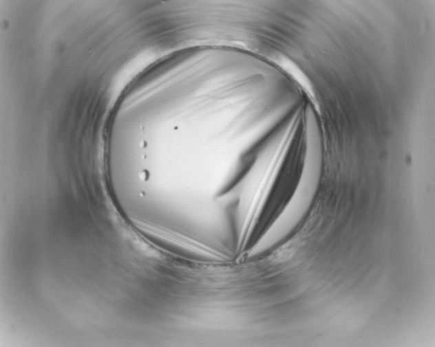 X0000088131096200705291327