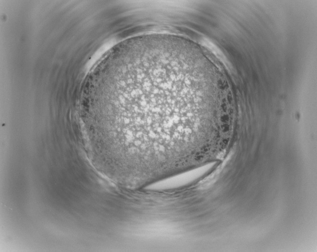 X0000088131097200705291327