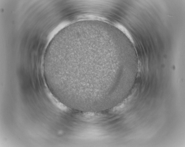 X0000088131098200705291327