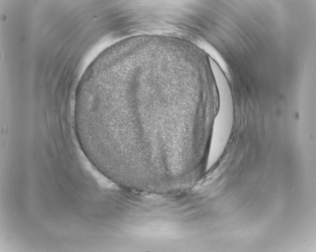 X0000088131099200705291327