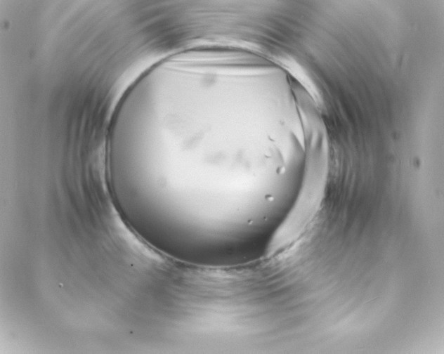 X0000088131100200705291327