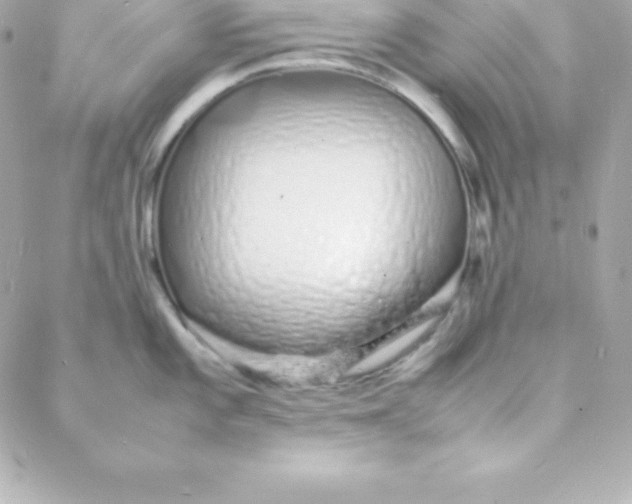 X0000088131101200705291327