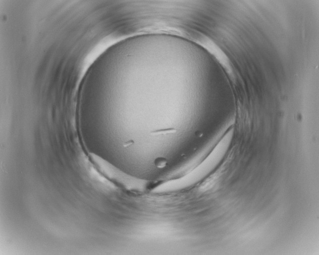 X0000088131102200705291327