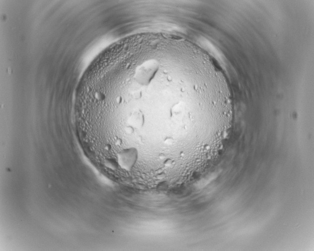 X0000088131103200705291327