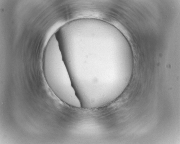 X0000088131104200705291326