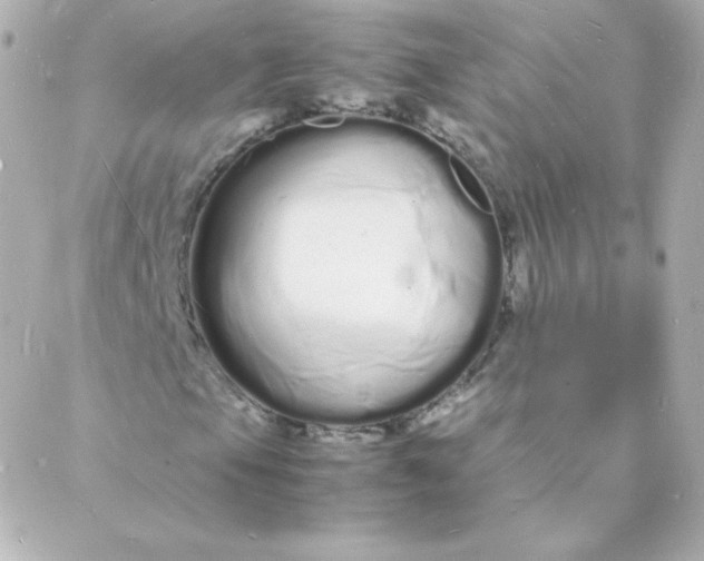 X0000088131105200705291326