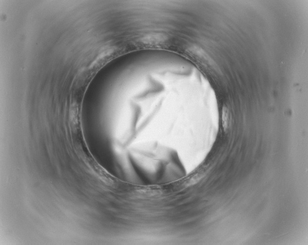 X0000088131107200705291326