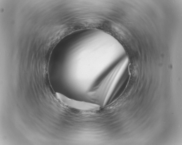 X0000088131108200705291326