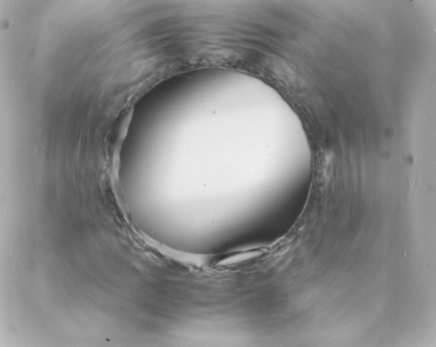 X0000088131109200705291326