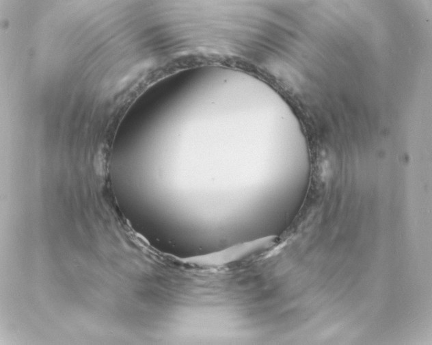 X0000088131110200705291326