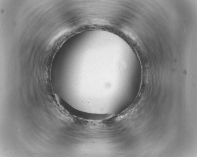 X0000088131112200705291326