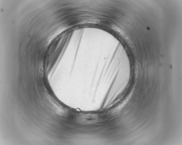 X0000088131113200705291326