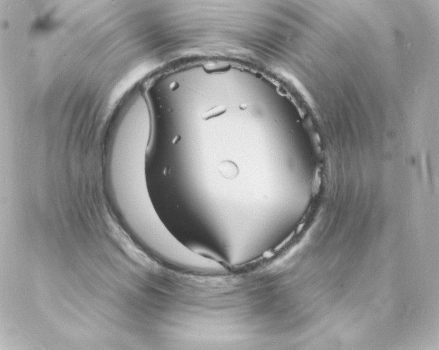 X0000088131114200705291326