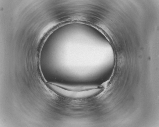 X0000088131115200705291326