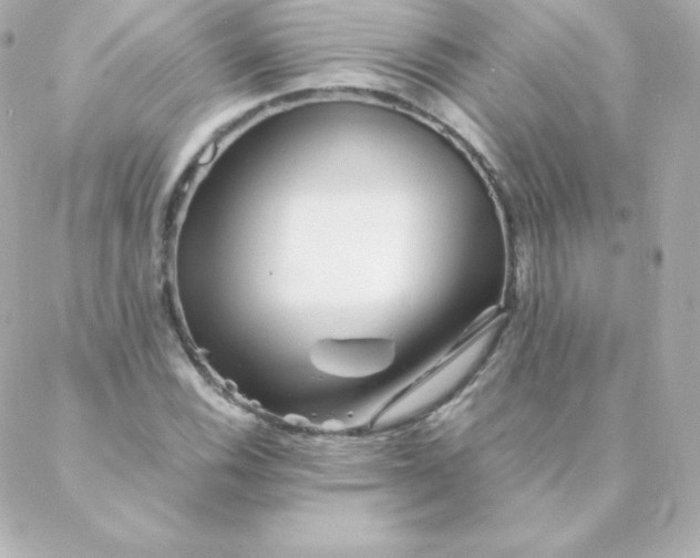 X0000088131116200705291326